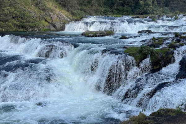 Ooty Tour Package – 3D / 2N