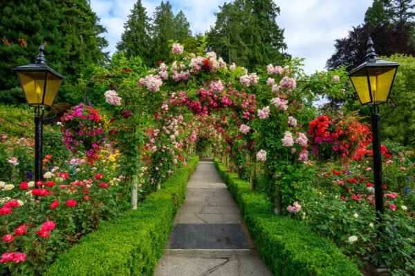 Ooty Tour Package – 3D / 2N