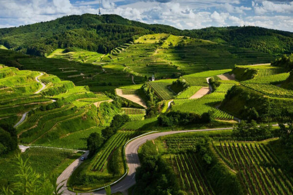 Coorg Tour Package – 1N / 2D