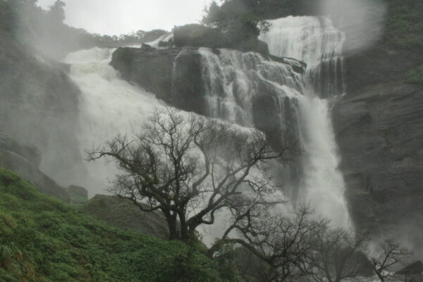 Coorg Tour Package – 1N / 2D