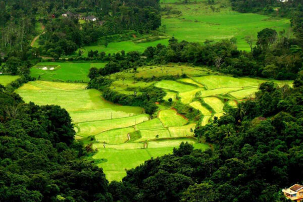 Coorg Tour Package – 1N / 2D