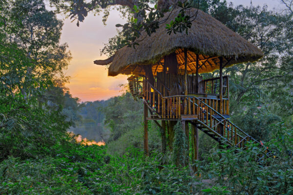 Coorg Tour Package – 1N / 2D