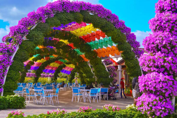 Dubai Luxury & Desert Experience – 4N / 5D