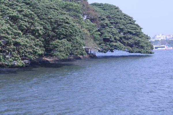 Athirapally & Kochi Tour Package – 1N / 2D