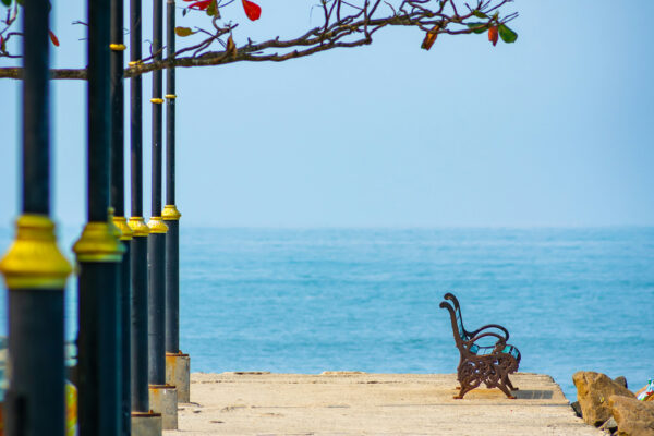 Kochi – Munnar – Thekkady Tour Package – 3N / 4D