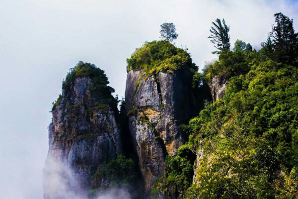 Kodaikanal Tour Package – 3D / 2N