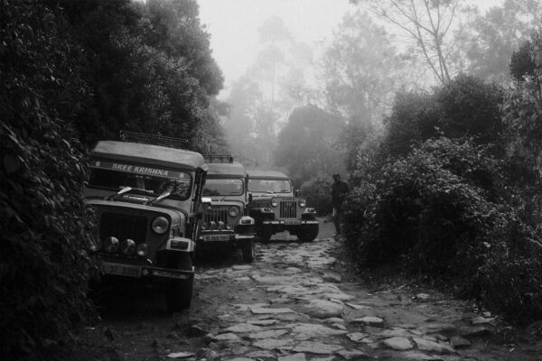 Kochi – Munnar – Thekkady Tour Package – 3N / 4D