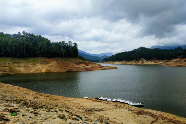 Munnar Tour Package – 1N / 2D