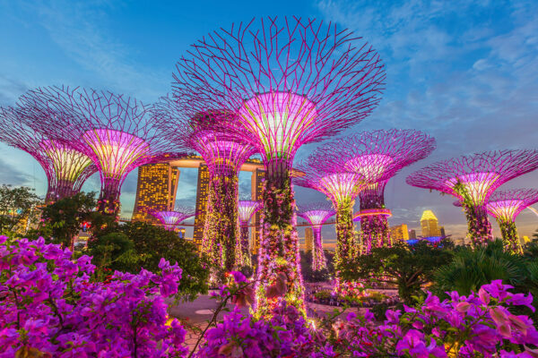 Singapore Grand Experience Tour – 4N / 5D