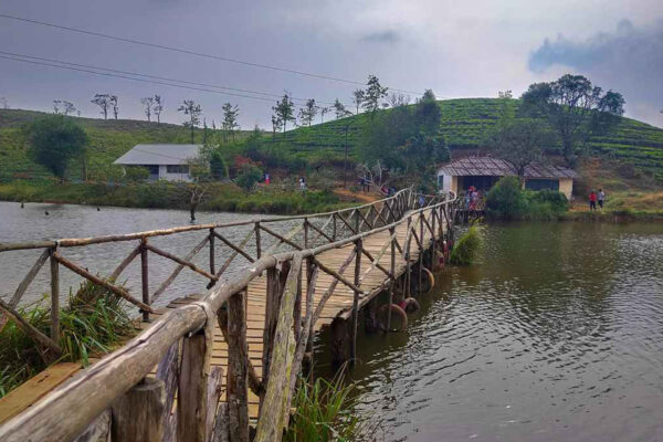 Vagamon Tour Package – 1N / 2D