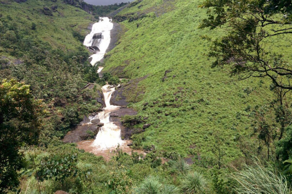 Vagamon & Kochi Tour Package – 1N / 2D