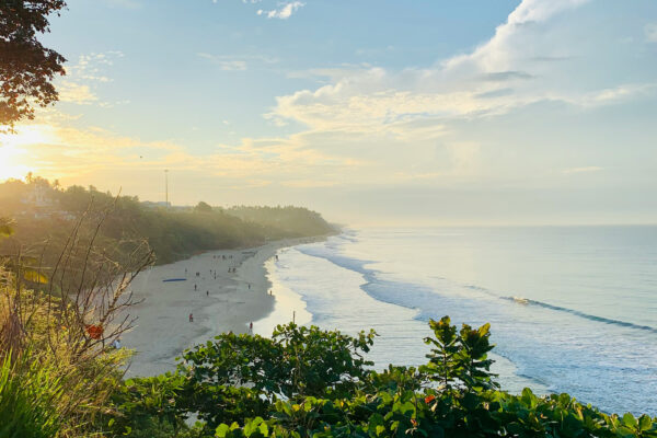Munnar – Alleppey – Varkala Tour Package – 2N / 3D