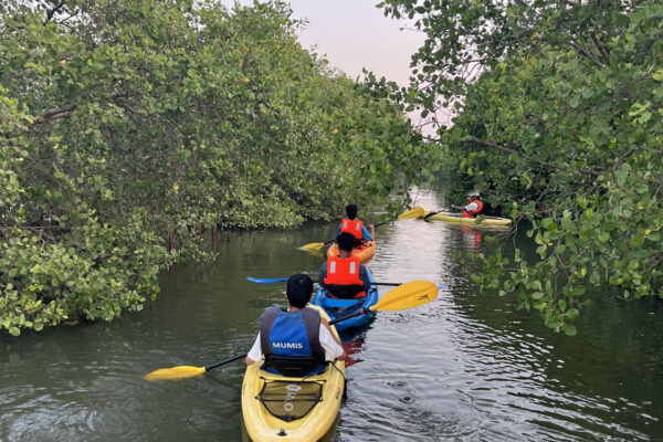 Munnar – Alleppey – Varkala Tour Package – 2N / 3D