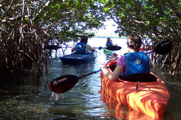 Munnar – Alleppey – Varkala Tour Package – 2N / 3D