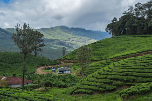 Kanthalloor Tour Package – 1N / 2D