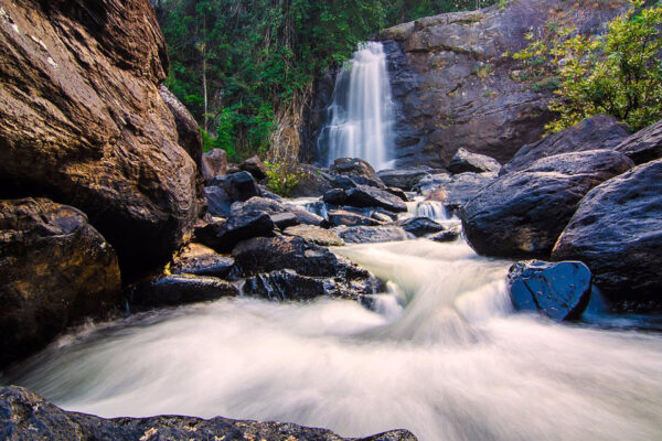 Wayanad Tour Package – 1N / 2D