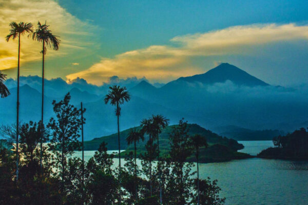 Wayanad Tour Package – 1N / 2D