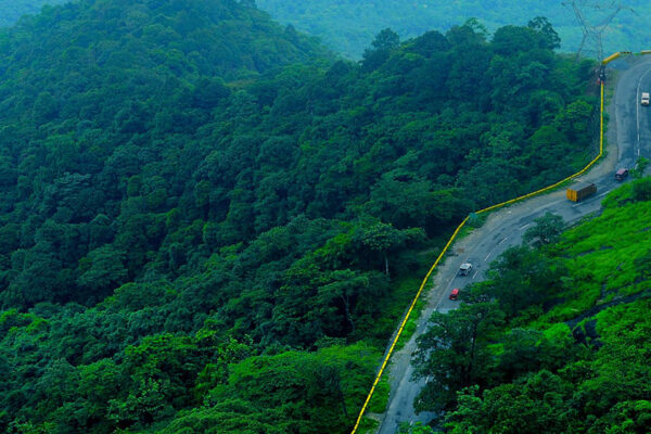 Wayanad Tour Package – 1N / 2D